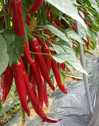 이정자님의 작성글 사진