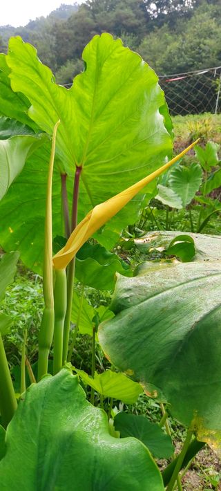 성낙신 님의 오늘의 시장을 알려주세요 · 참여글 작성글 사진