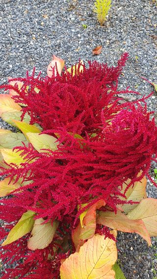 인생은 소풍처럼님의 자유주제 · 사진전 작성글 사진