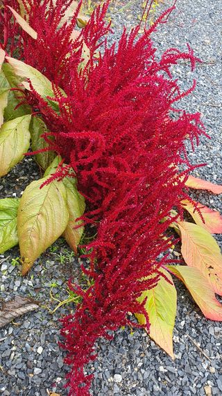 인생은 소풍처럼님의 자유주제 · 사진전 작성글 사진