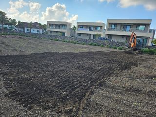 제주님의 양배추 · 자유게시판 작성글 사진