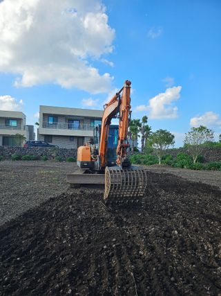 제주님의 양배추 · 자유게시판 작성글 사진