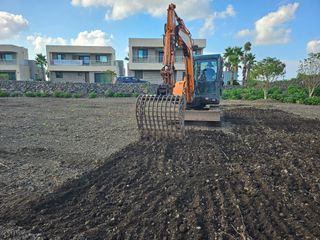 제주님의 양배추 · 자유게시판 작성글 사진