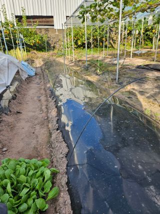 정일선님의 가을 농사계획 알려주세요🍁 · 참여글 작성글 사진