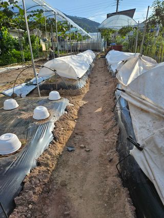 정일선님의 가을 농사계획 알려주세요🍁 · 참여글 작성글 사진