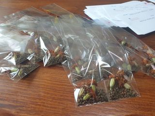 알 수 없음님의 기타작물 · 자유게시판 작성글 사진