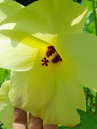 알 수 없음님의 기타작물 · 자유게시판 작성글 사진