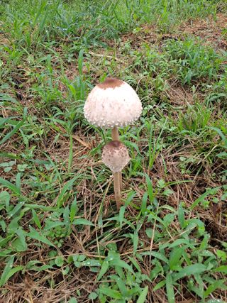 농촌사랑님의 자유주제 · 자유게시판 작성글 사진