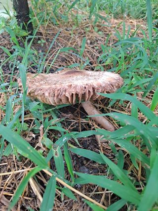 농촌사랑님의 자유주제 · 자유게시판 작성글 사진