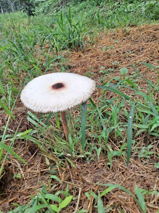 농촌사랑님의 자유주제 · 자유게시판 작성글 사진