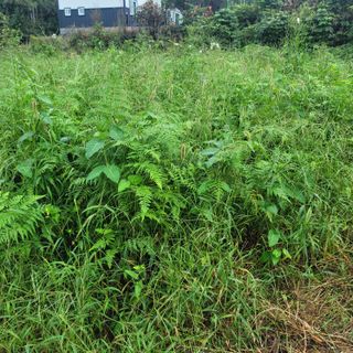 최득길님의 기타작물 · 자유게시판 작성글 사진