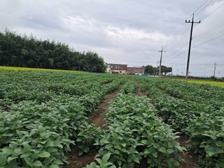 김기한님의 콩 · 자유게시판 작성글 사진