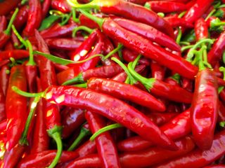 고추 조의현님의 작성글 사진