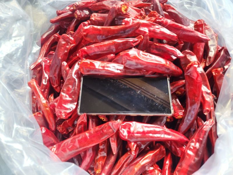 고추 조의현님의 장터 판매 상품 [[판매완료] 고추가루  팝니다. 일반5kg+청양1k] 첨부 사진