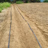 팜모닝 포도·영농일지 게시글 이미지