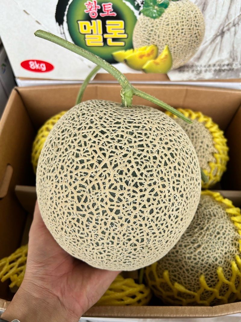 장터 상품 [멜론    3키로ㅡ5키로] 썸네일