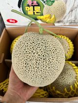 팜모닝 · 게시글 이미지