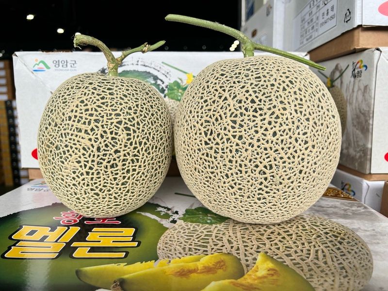 알 수 없음님의 장터 판매 상품 [멜론    3키로ㅡ5키로] 첨부 사진