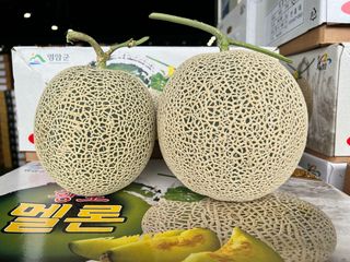 알 수 없음님의 작성글 사진