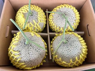 알 수 없음님의 작성글 사진