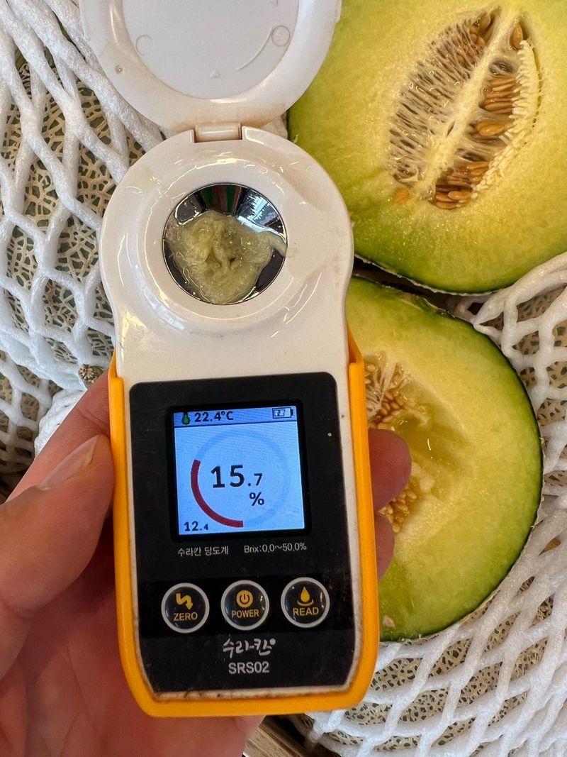 알 수 없음님의 장터 판매 상품 [멜론    3키로ㅡ5키로] 첨부 사진