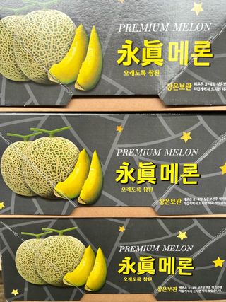 알 수 없음님의 작성글 사진