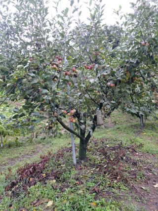 ahnda님의 자유주제 · 자유게시판 작성글 사진