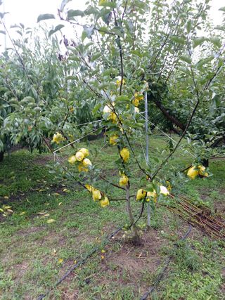 ahnda님의 자유주제 · 자유게시판 작성글 사진