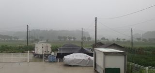 심산유곡님의 시금치 · 일상 작성글 사진