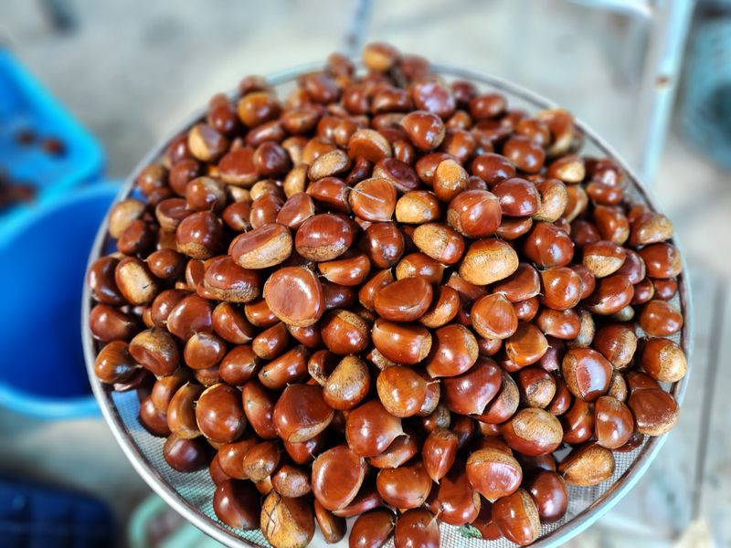 장터 상품 [햇밤] 썸네일