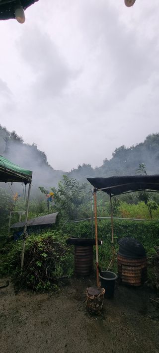 달방구님의 자유주제 · 자유게시판 작성글 사진