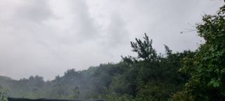 달방구님의 자유주제 · 자유게시판 작성글 사진