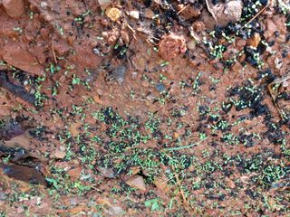 김명복님의 가을 농사계획 알려주세요🍁 · 참여글 작성글 사진