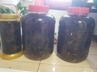 당근한개님의 자유주제 · 자유게시판 작성글 사진