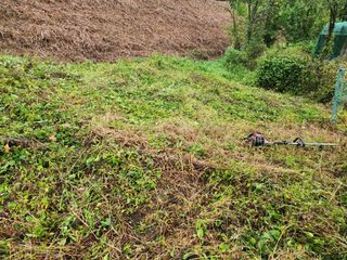 박병한님의 참깨 · 영농일지 작성글 사진