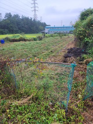 박병한님의 참깨 · 영농일지 작성글 사진