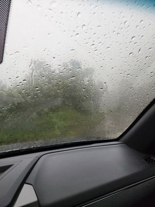 박병한님의 참깨 · 영농일지 작성글 사진