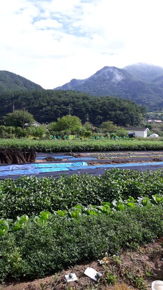 김윤희님의 가을 농사계획 알려주세요🍁 · 참여글 작성글 사진