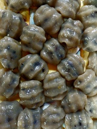 김정술님의 가을 농사계획 알려주세요🍁 · 참여글 작성글 사진