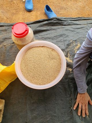 그린팜님의 작성글 사진