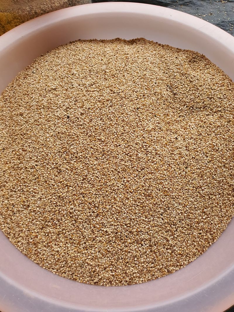 그린팜님의 장터 판매 상품 [2023년 햇참깨] 첨부 사진