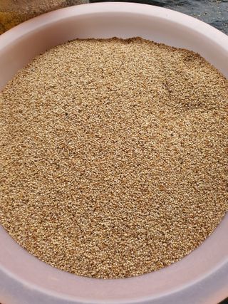 그린팜님의 작성글 사진