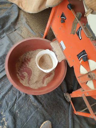 그린팜님의 작성글 사진