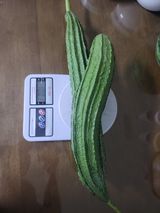 팜모닝 자유주제·자유게시판 게시글 이미지