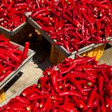 팜모닝 · 게시글 이미지