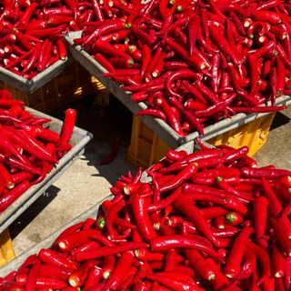 김성미님의 작성글 사진