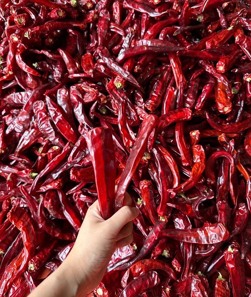 김성미님의 장터 판매 상품 [2024 청송 세척고춧가루 판매] 첨부 사진