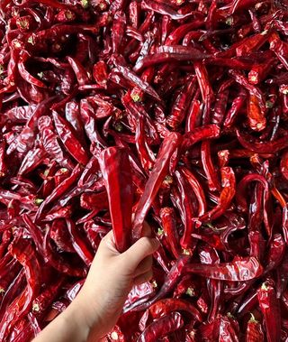 김성미님의 작성글 사진