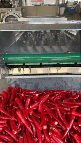 김성미님의 작성글 사진