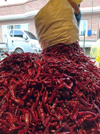 김성미님의 작성글 사진